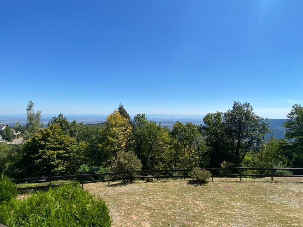 Le Panorama - Gites Marck Turckheim Esterno foto