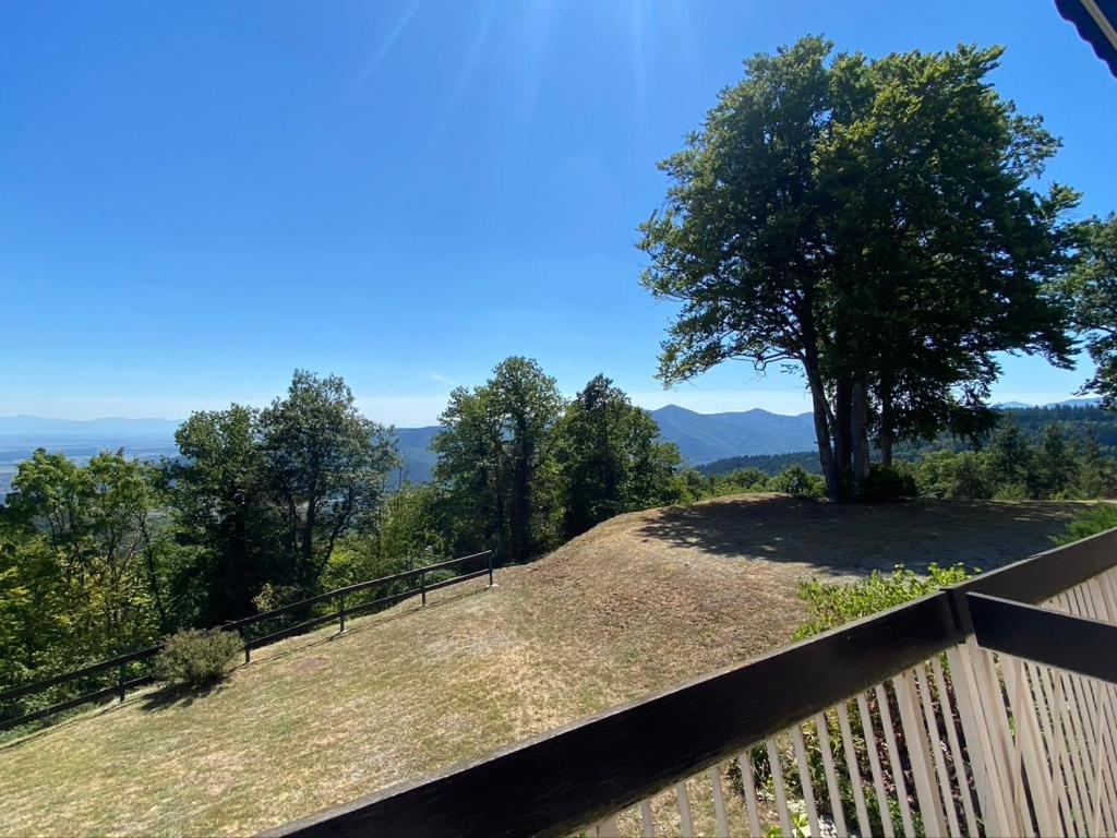 Le Panorama - Gites Marck Turckheim Esterno foto