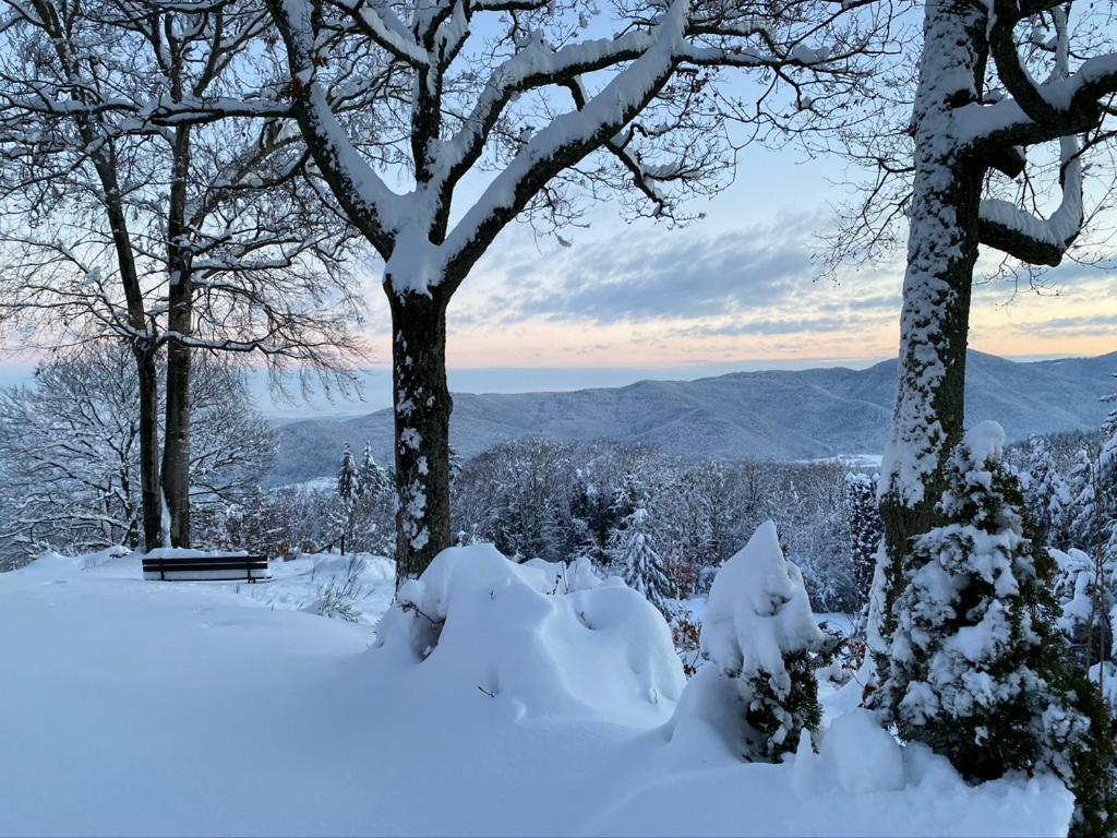 Le Panorama - Gites Marck Turckheim Esterno foto